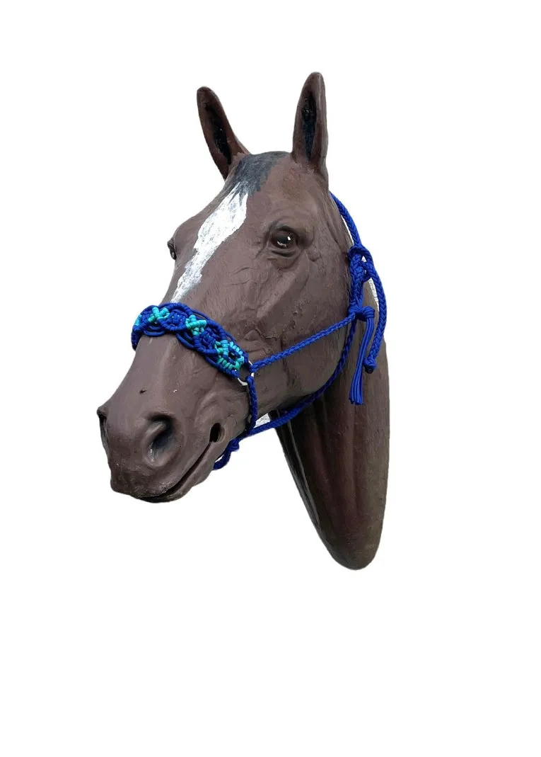 Braided horse halter electric blue  and teal