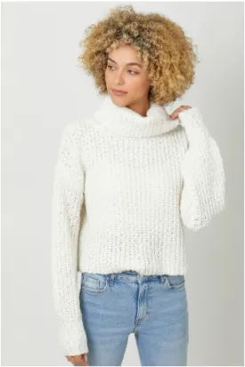 Turtle Neck Cropped Sweater